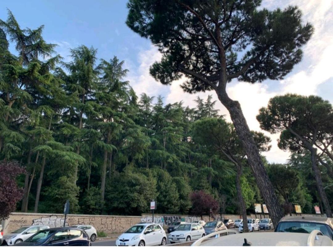 Apartamento Roma San Pietro Exterior foto